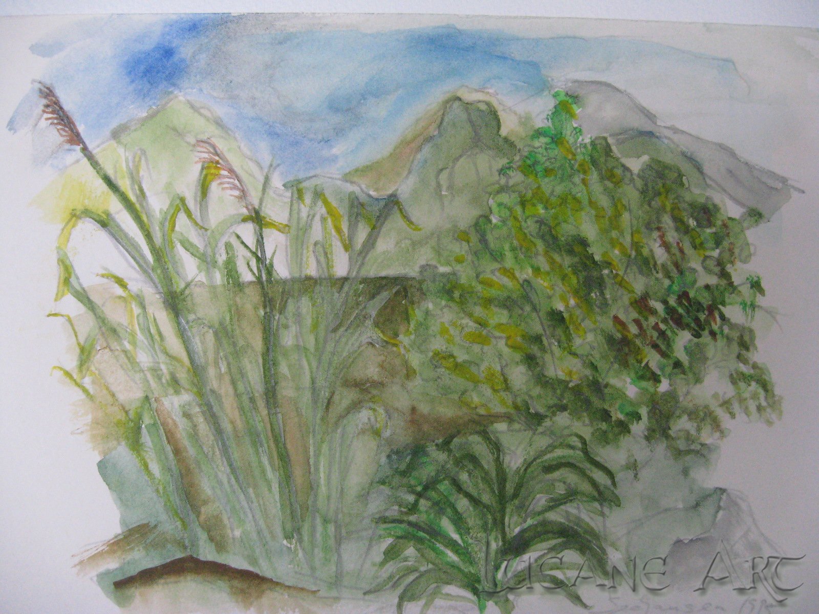 Aquarelle